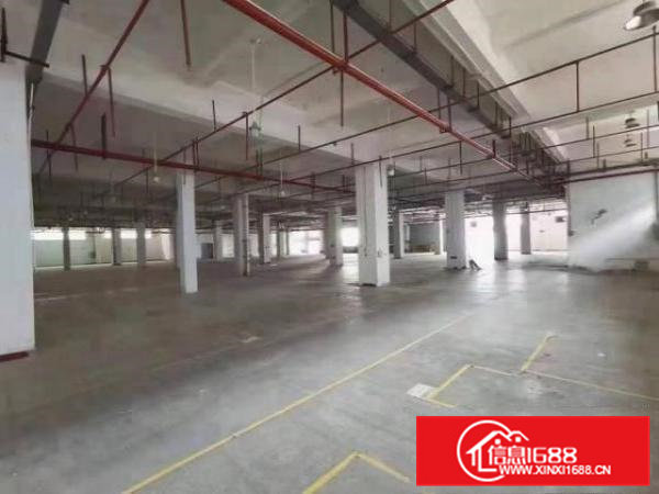 大岭山新出花园式标准厂房1280平方精装修可办环评