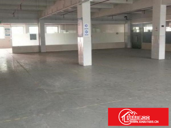 新出标准一楼1300平工业厂房出租带办公室装修