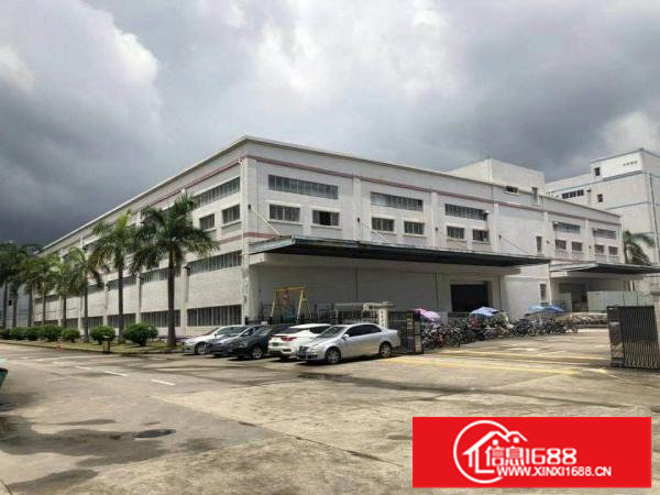 龙岗宝龙高新区原房东独院厂房出租厂房12层12000平出租