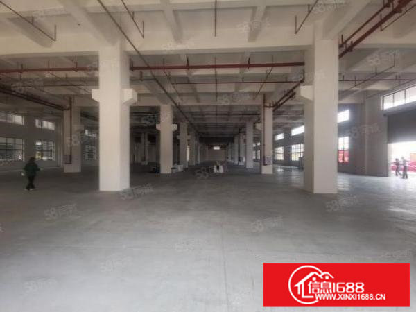 常平白石岗新出1200平米标准厂房招租