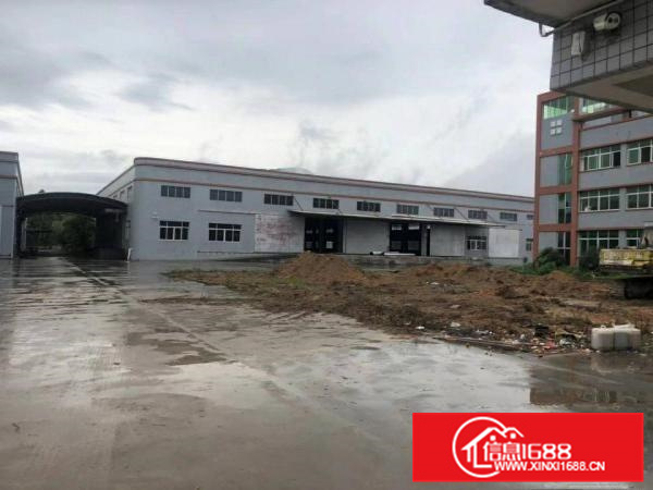 新圩长布钢构独院厂房出租7000平方