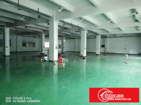 凤岗镇.工业区内5000平独门独院交通便利整租优惠