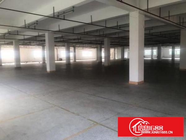 石排城区新开发区