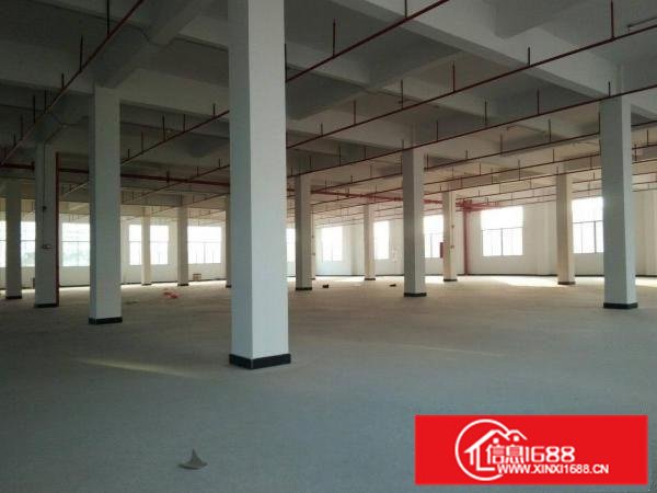 仲恺沥林泮沥全新独院新出2600平方标准厂房出租