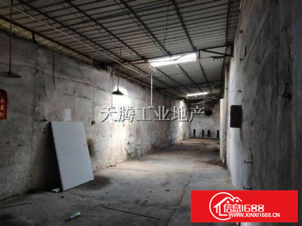 方正实用星棚结构首层带有空地容桂高黎工业区厂房出租