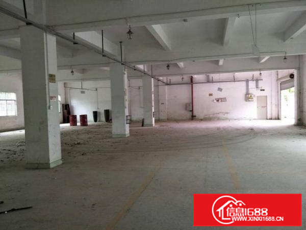 惠阳秋长1000平原房东我楼带装修厂房高6米空地大