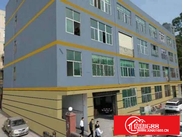 四联独门独院新装修4600平方厂房出租可分租有消防