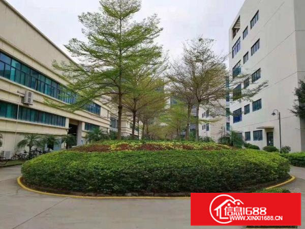 龙岗南联地铁站120到5000平方出租全部装修好