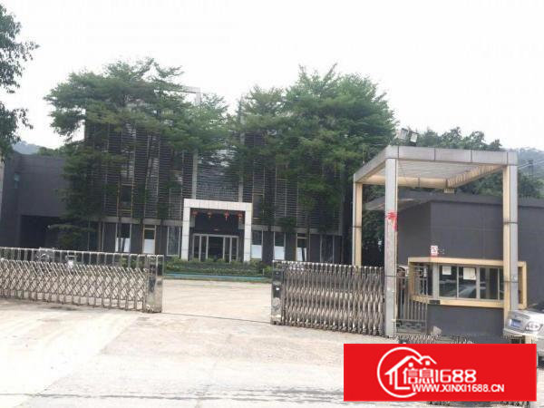 黄江镇星光村10万平方米钢结构一楼厂房出租1000平方起招租