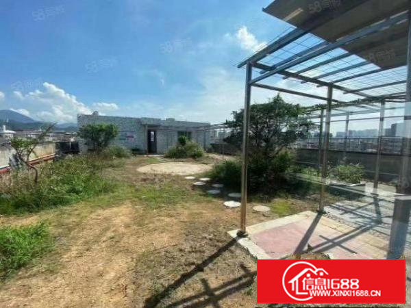 横岗红棉路边原房东花园式办公厂房200平20元一平