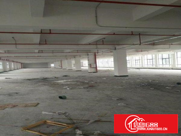 塘厦大坪新建独院厂房20000平，可整租，可分租