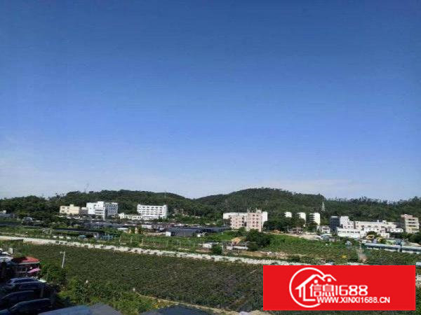 龙岗大型工业园招商22元平起80到2400可分租