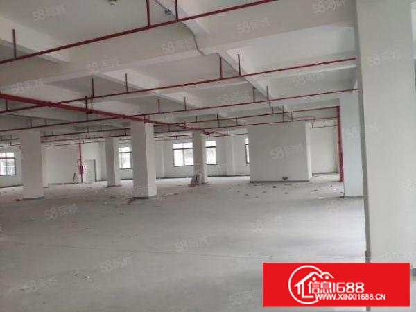 横沥镇原房东全新标准厂房出租，红本厂房，工业用地可办环评