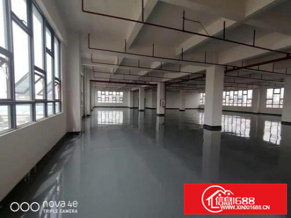 精装修！虎门白沙高铁站附近新空出整层1350平出租