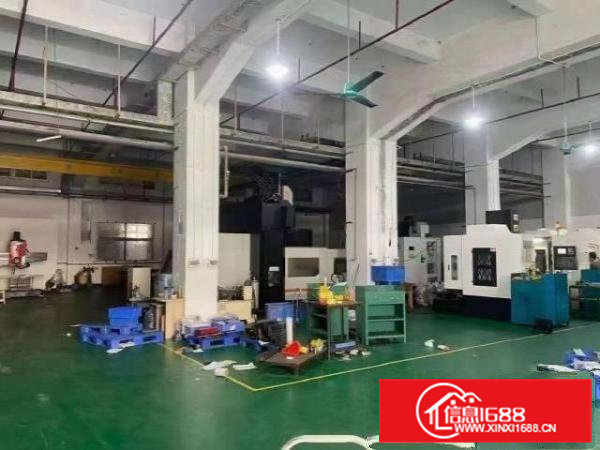 出租900平1楼位置好环境好