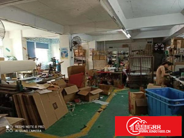 观澜业主直租，楼上现成装修200平