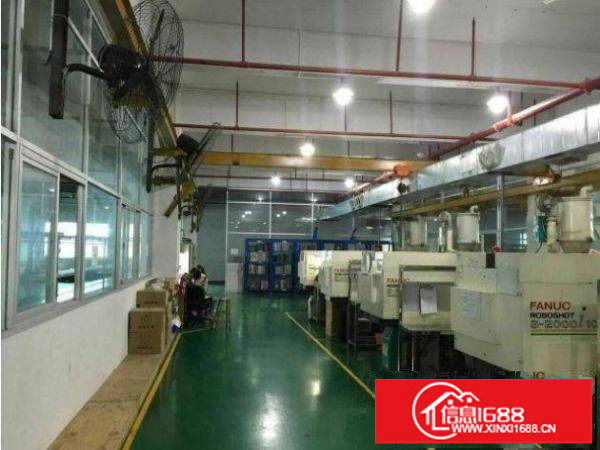 横岗茂兴路标准一楼700平米招租带精装修地坪漆