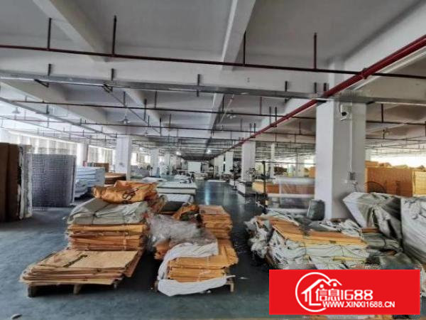 清溪三中靠凤岗原房东500平方起租