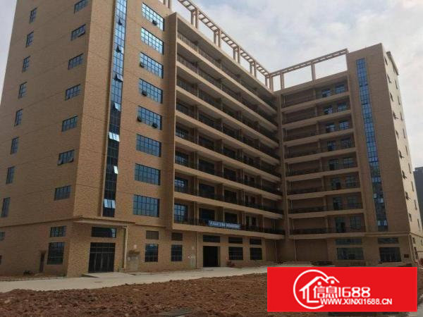 凤岗全新红本带喷淋厂房出租一栋14000平方可分租