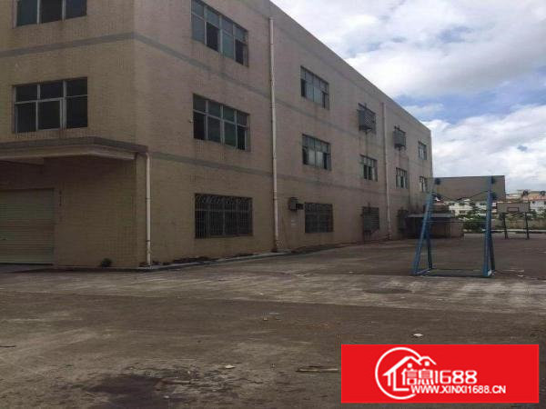 坪山汤坑工业区新出4800平米原房东独院厂房招租