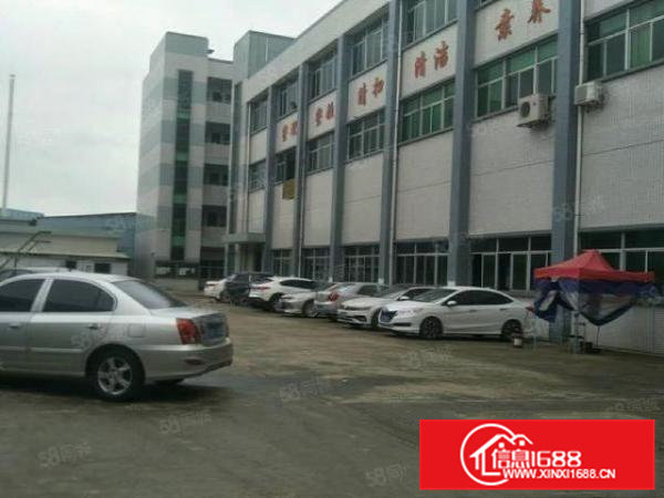 横沥三江工业区3层独门独院6000平米带精装修厂房出租分租