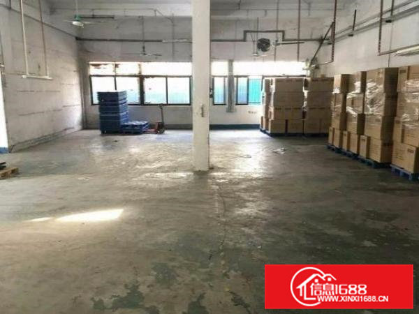 茶山上元村300平方米标准一楼厂房仓库出租