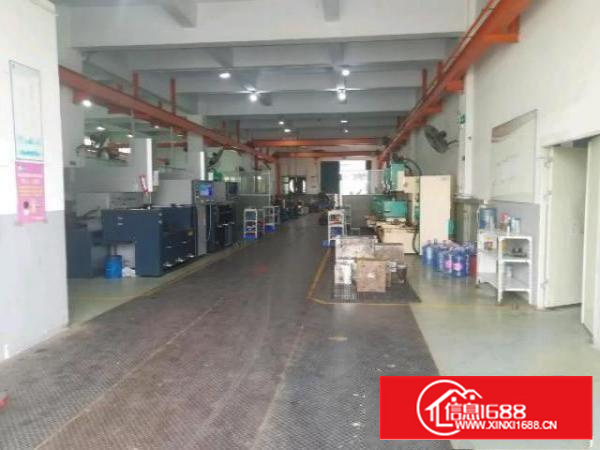 独门独院厂房面积实在