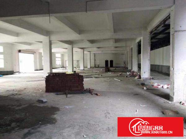 企石镇新出原房东标准厂房一楼1000平方，无公摊无杂费