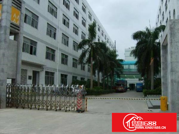 水官高速出口新出楼上原房东厂房482平坪山碧岭