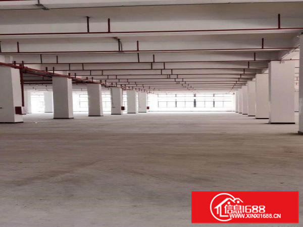 一手房东独院每层3500平米带地坪漆实际面积2部3吨电梯