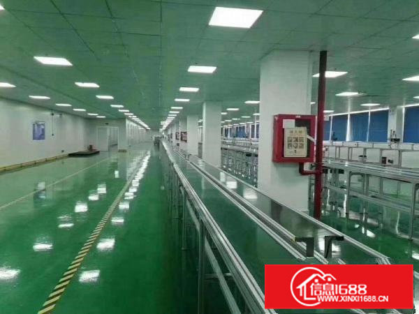 凤岗雁田原房东全新无尘车间5600平直租