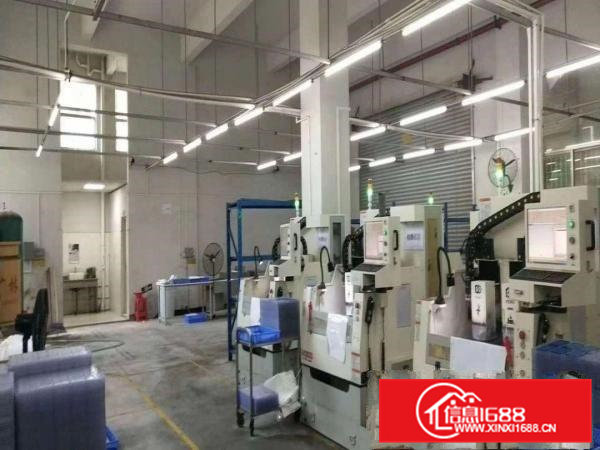 凤岗金凤凰6米高适合各行业标准一楼1000平米出租好招工