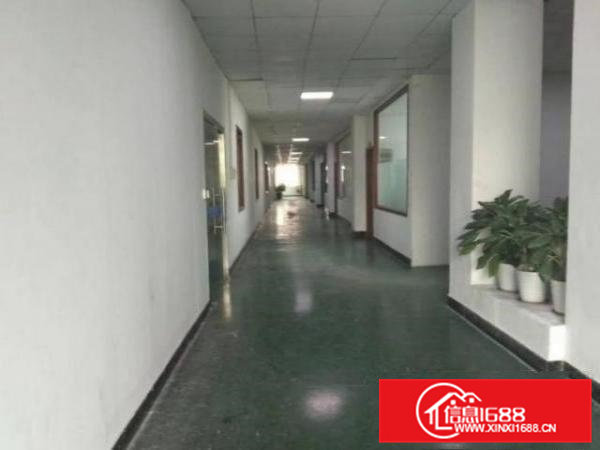 上元新出2楼700平米带装修厂房出租，无转让费