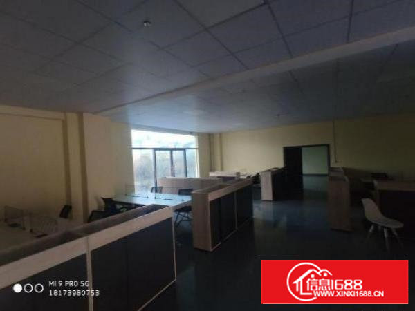 沙井新出300平带装修厂房