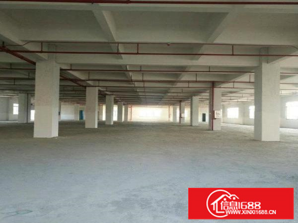 惠阳独院标准厂房3250平方，办公配套