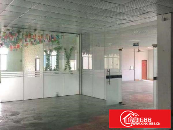 东莞大朗莞樟路旁5000平独院4层标准厂房出租可办环评