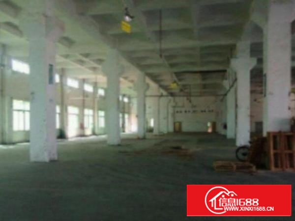 独院厂房分租1楼1800平方低价招租，带牛角