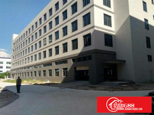 沙湖标准1楼1000平高6米厂房出租，水电到位，外观形象好