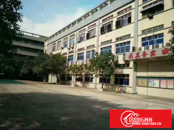 清溪铁松新出花园式2300平米带豪华装修厂房出租