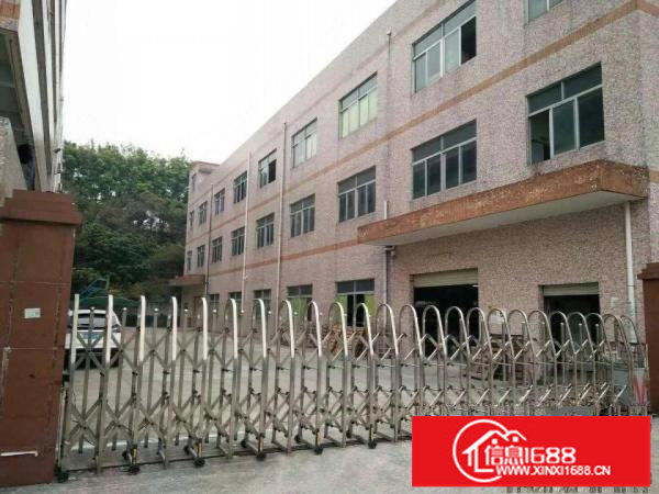 横岗原房东独院厂房3层3900平米出租合同5年