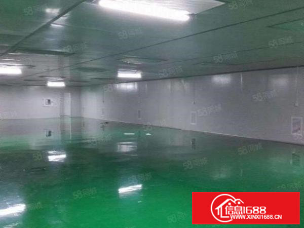 大朗镇松柏塘3280平方现成无尘车间出租