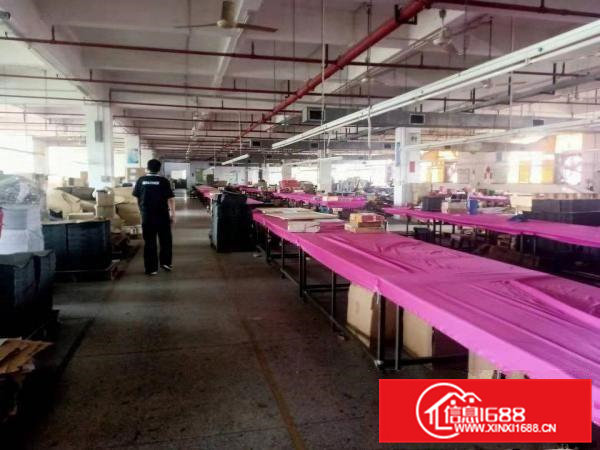 桥头镇新出标准厂房出租4000平方，周边无居民！