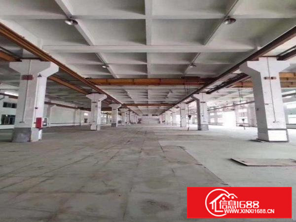 原房东常平重工业花园式独门独院标准厂房！