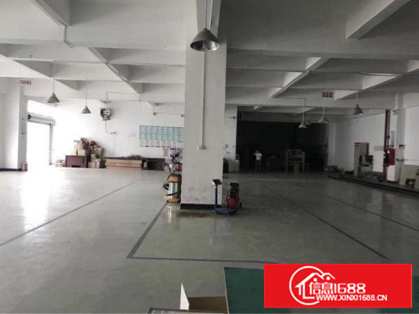 塘厦振兴围小两层独院1550平方！现成主线装修