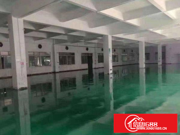 惠阳新墟小金原房东两层800平米楼房出租，租金便宜