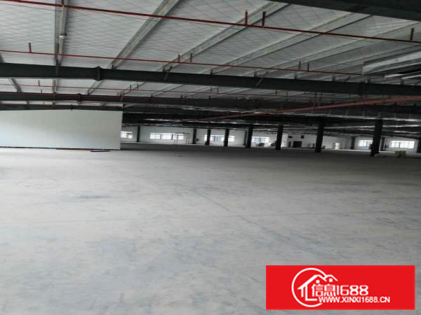 博罗园洲厂房全新钢结构厂房出租滴水8.5带隔热层仓库