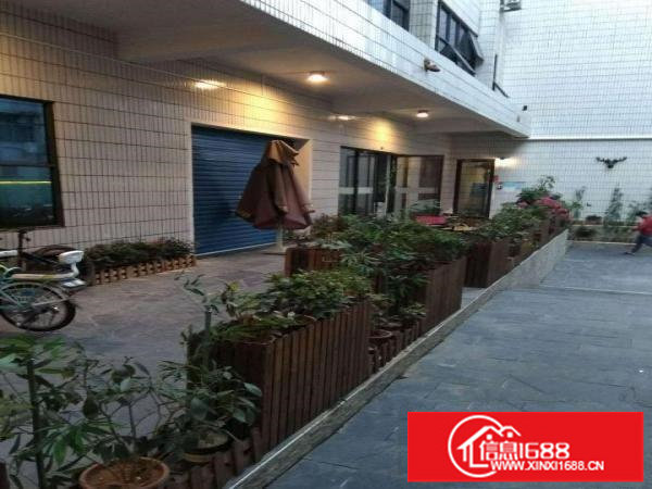 平湖中学后面附近精装修办公室租，有100平150平