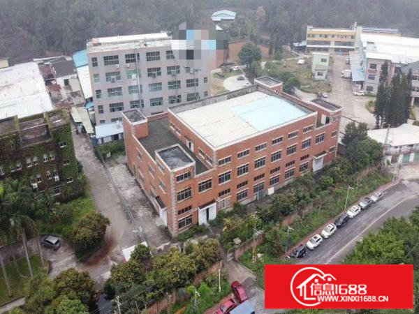 包租盘，喜欢就下手手慢就没了