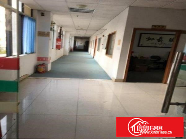 康桥布澜路第二工业区仓库1300平米