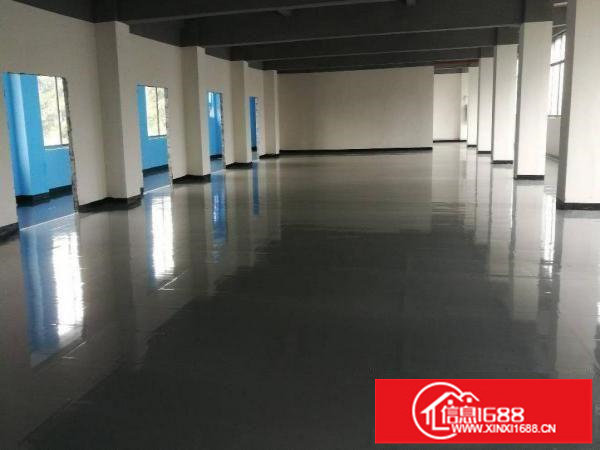 观澜全新精装修商业，办公楼招租